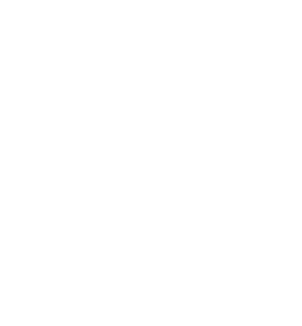 logo-as-vertical