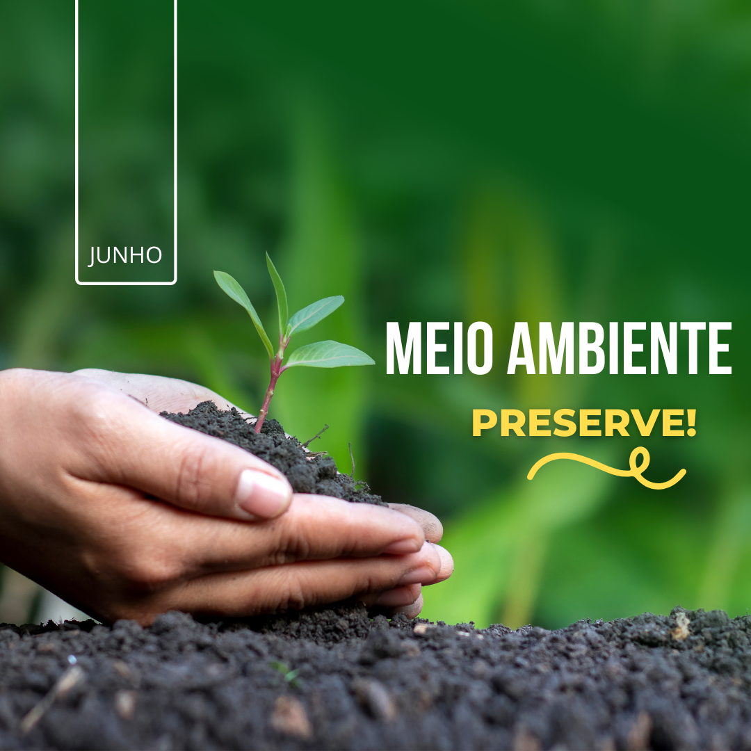 Preservação ambiental - Alves Silva